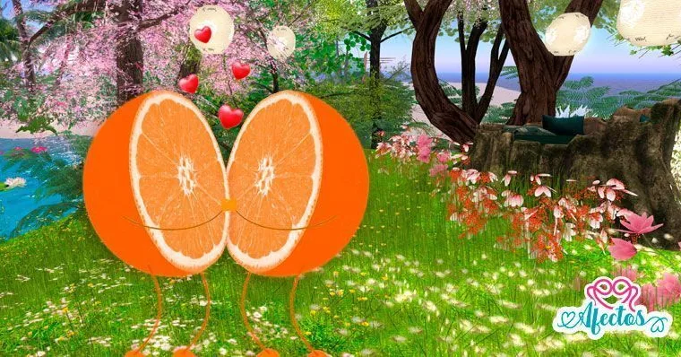 El mito de la Media Naranja