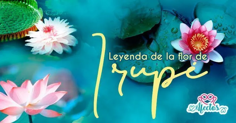La leyenda de la Flor del Irupé