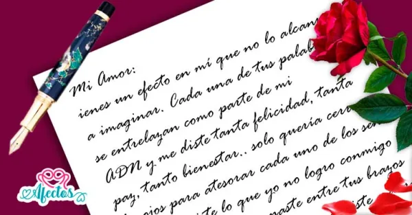 Cartas de amor: Mi gran amor