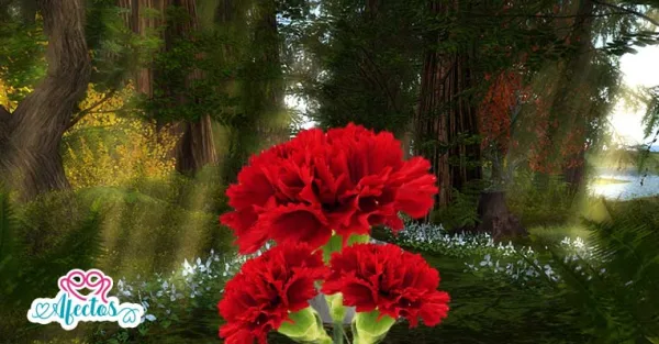 Sobre la superación personal