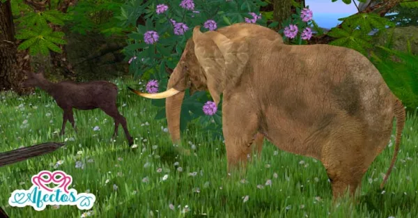 Sobre los diferentes puntos de vista – ¿Y cómo es un elefante?