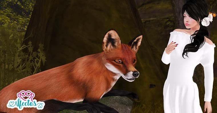 La leyenda del sabio y del hombre zorro