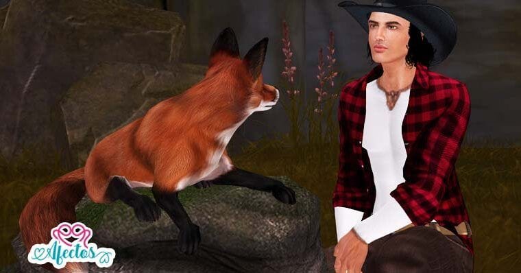 EL INGENIOSO ZORRO ROJO