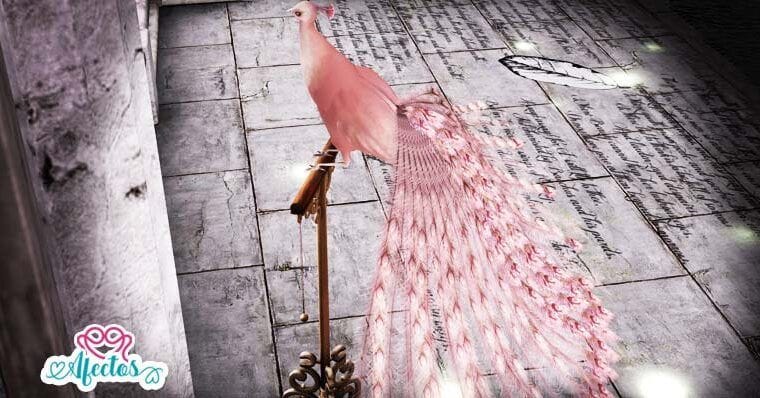 <strong>EL PAJARO MARAVILLOSO</strong>