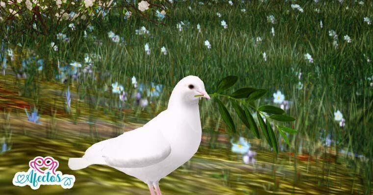 EL OBSEQUIO DE LAS PALOMAS