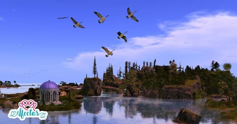 El Vuelo de los Gansos