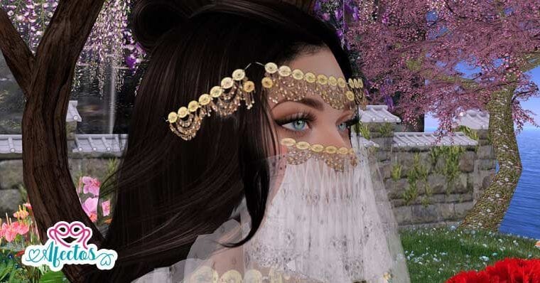 Carta de la reina Hayat al-Nufus al rey al-Amcha