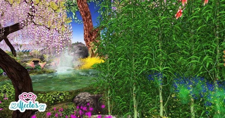 Sobre los procesos psíquicos – <strong>Bambú Japonés</strong>