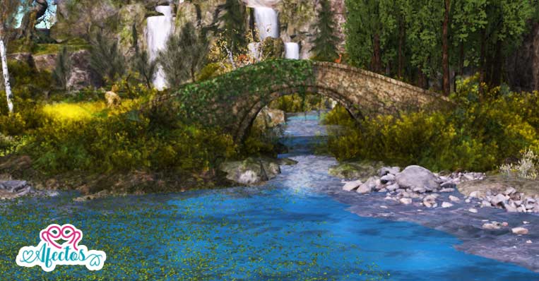 El Río y el Océano