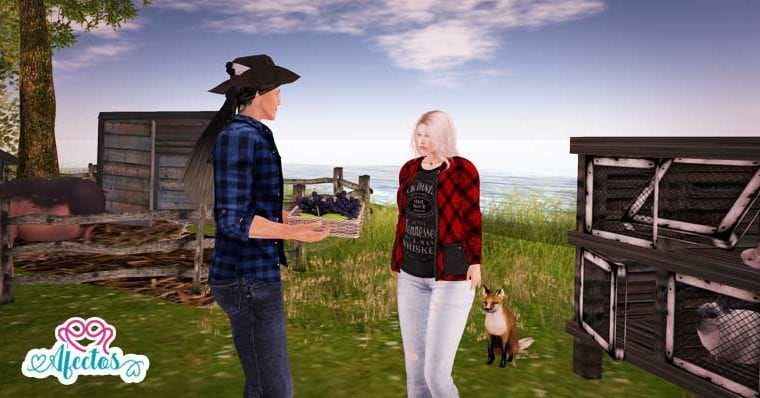 Compartir lo provisorio