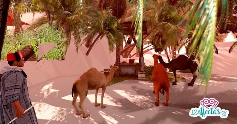 El pozo y los camellos