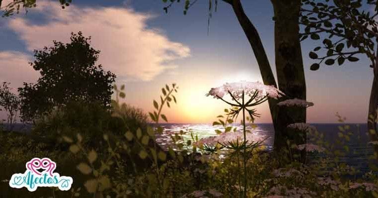 UN HIMNO AL CREPÚSCULO por Phillis Wheatley