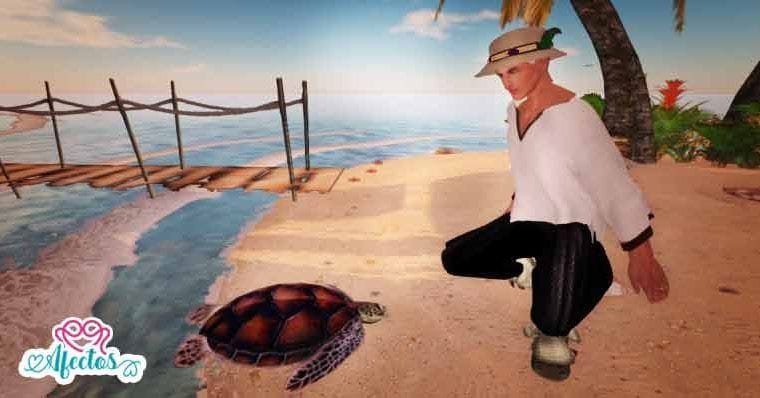 Urashima y la tortuga – Una historia de amor con consecuencias