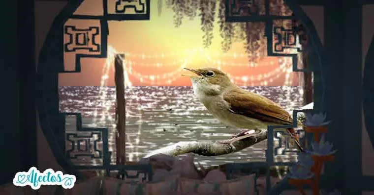 El ruiseñor y la rosa de Oscar Wilde