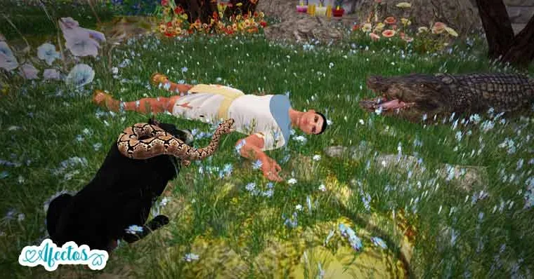 Las adivinaciones de las siete Hathores