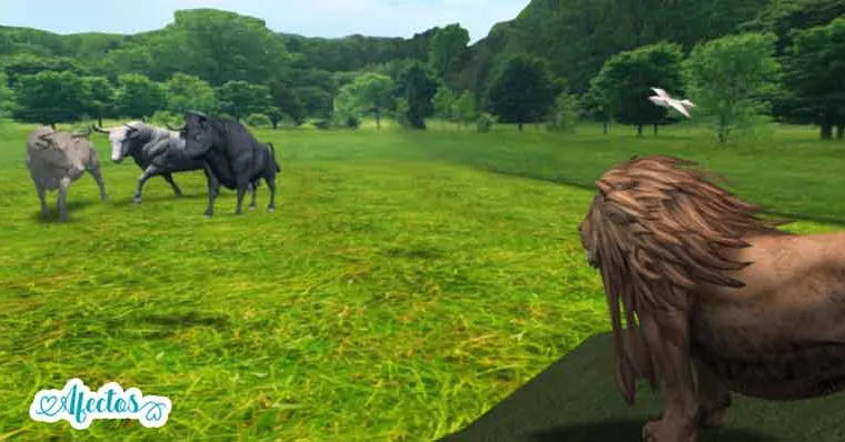 El león y los tres toros – Reflexión Judía