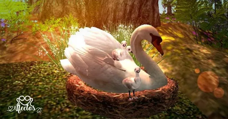 Enseñarás – Enseñarás