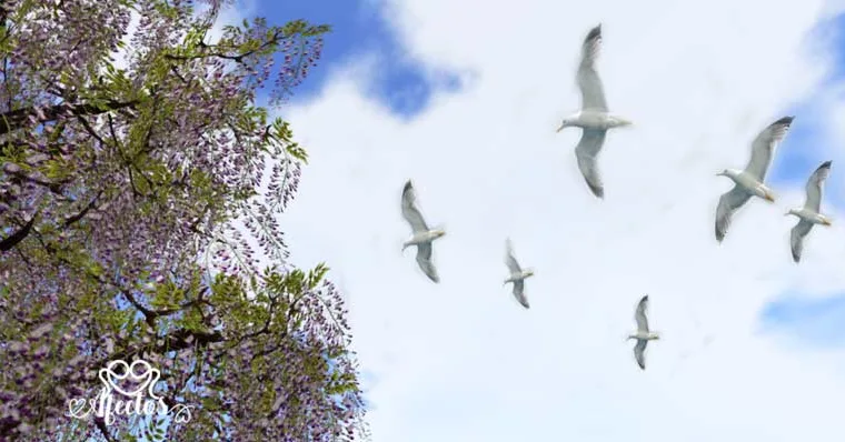 «ESTOY ESCUCHANDO A ESTAMBUL» de Orhan Veli Kanik