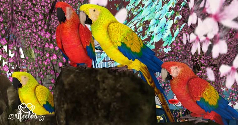 Los loros – Una leyenda sobre la soberbia