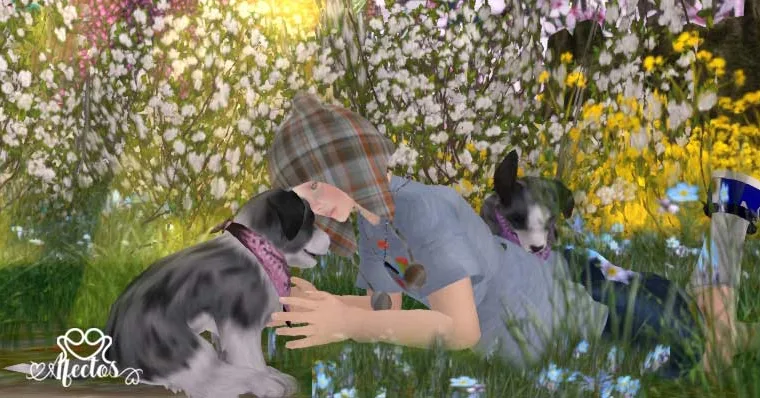 Simplemente, alguien que comprenda