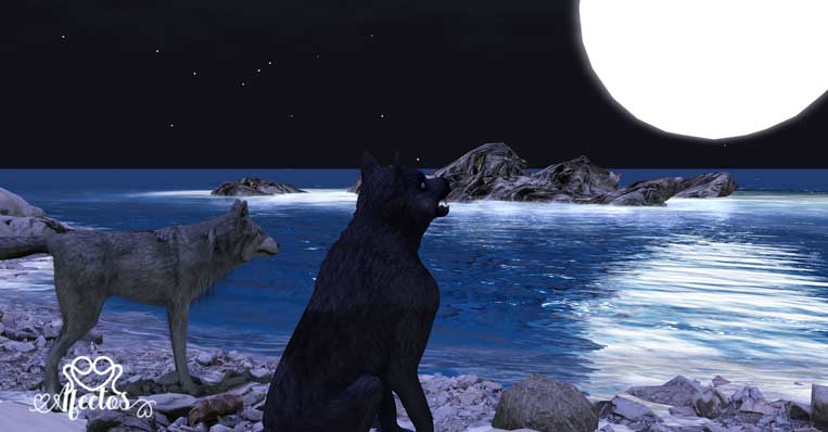 Entre Lobos