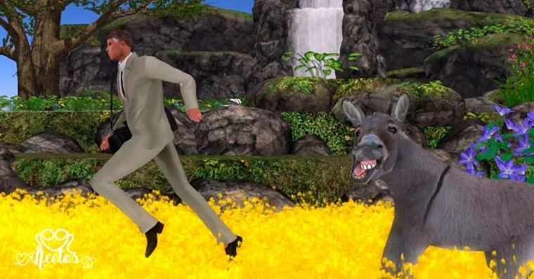 Reflexión: El burro y el representante del Gobierno