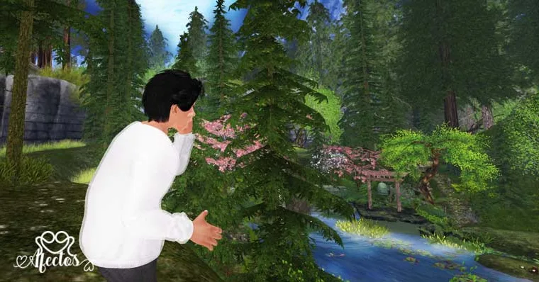 ECO – La vida es un espejo de tus actos