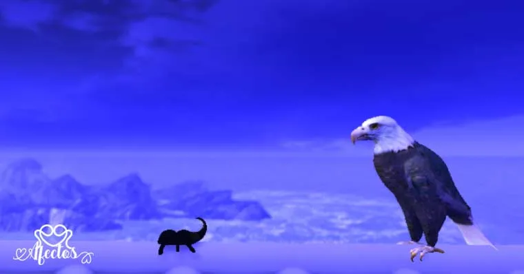 El águila, la liebre y el escarabajo