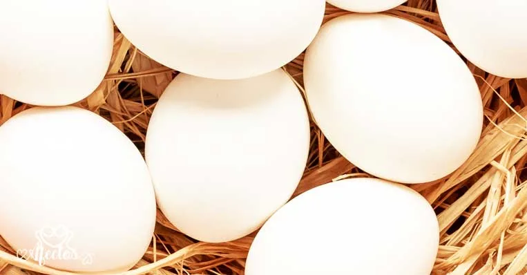 Ritual de limpieza con huevo blanco de gallina – ¿Cómo se hace una limpia de huevo?