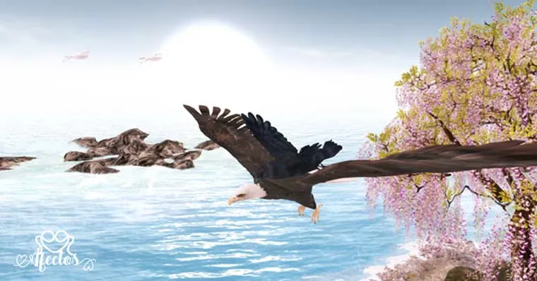 El águila y el cuervo – Reflexión