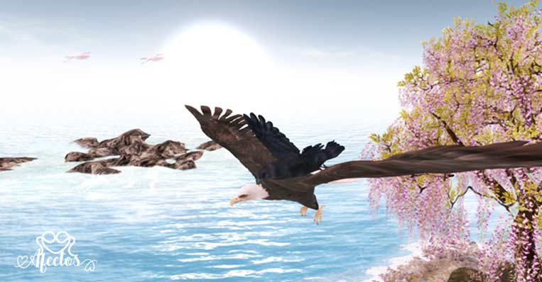 El águila y el cuervo – Reflexión