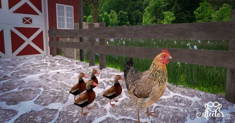 La Gallina y los patitos  de Jorge Bucay