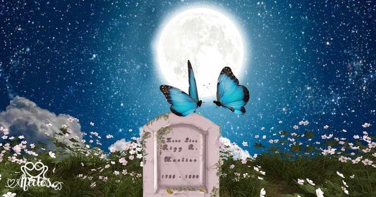 Los amantes mariposa