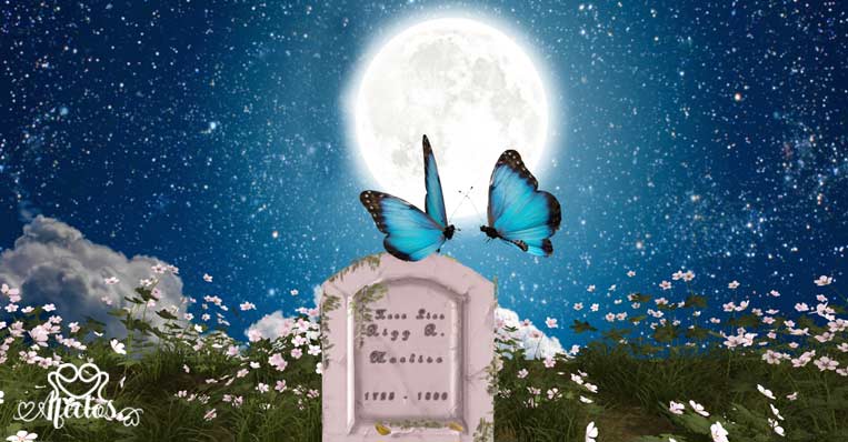 Los amantes mariposa