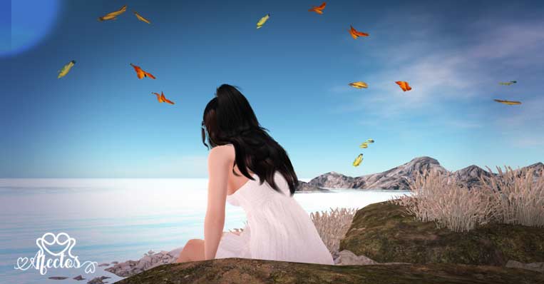 Mi declaración de autoestima