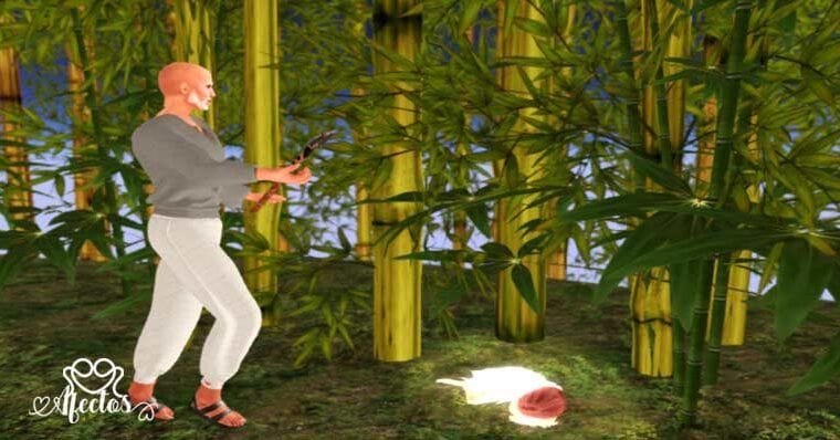 El cortador de bambú y la niña de la luna 