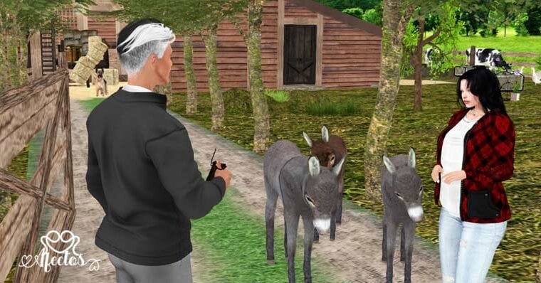 La crisis y la burbuja del burro