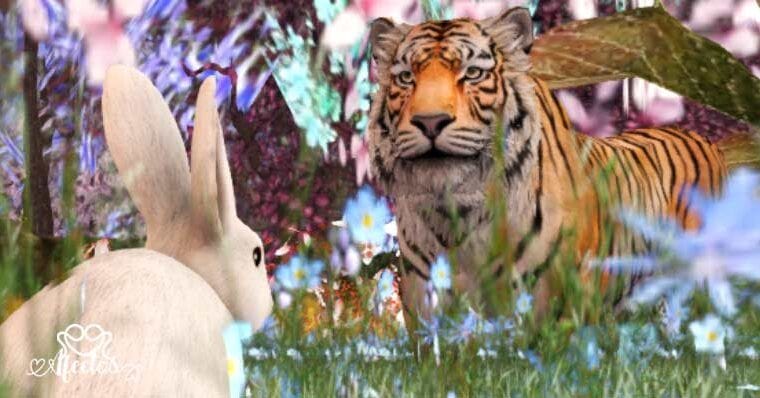 El Tigre y el Conejo – Cuento popular de Venezuela