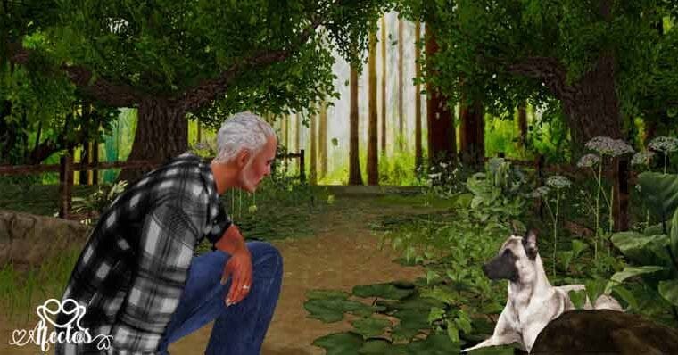 El viejo que hacía florecer los árboles