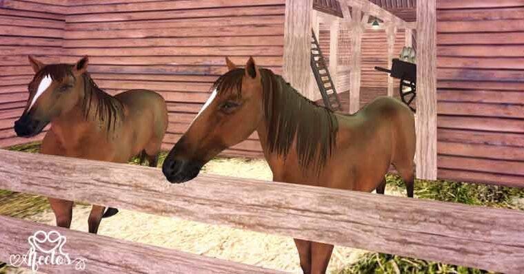 No sueltes el caballo