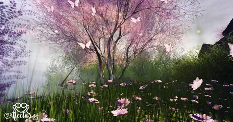 Un pensamiento y una reflexión