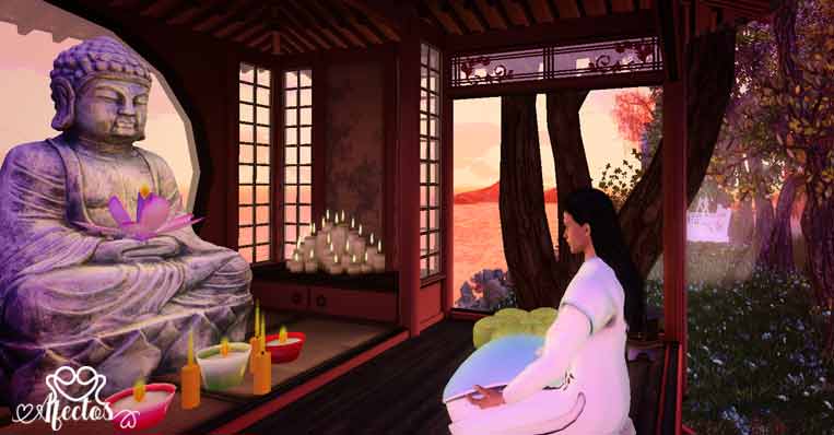 Sabiduría ¿Qué es y cómo desarrollarla?