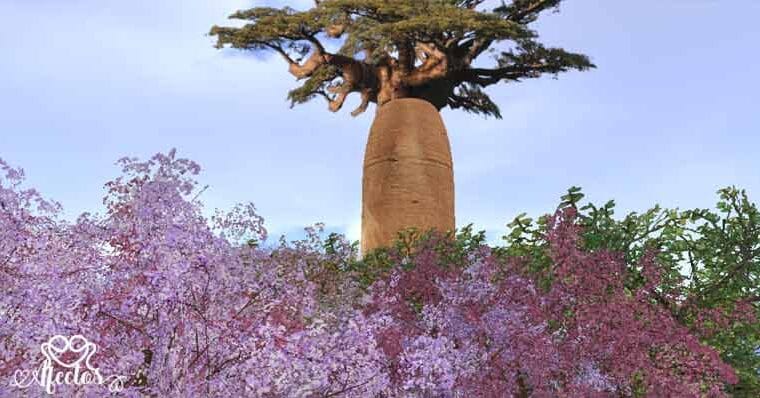 El Baobab: La Soberbia que Tocó el Cielo (y Cayó)