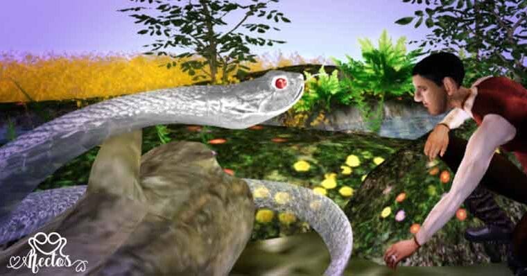 ‘Anansi y la pitón’ – La leyenda africana 