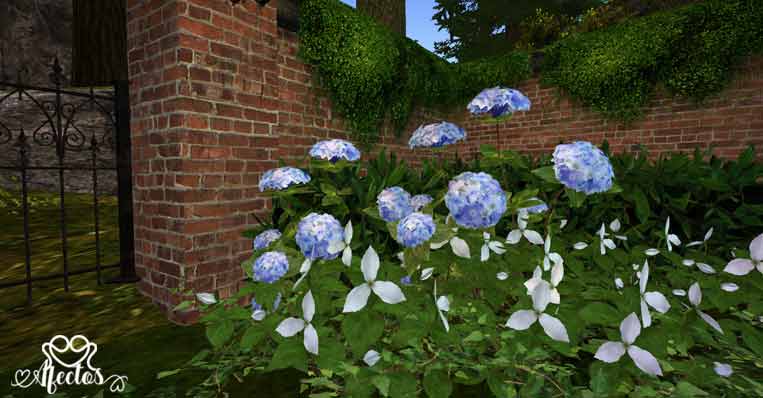 El Jardín de las Hortensias Azules