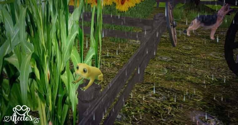 Los Sapos y la Lluvia