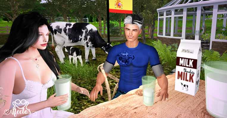 ¡Esto es la leche! Las mil y una formas de usar ‘leche’ en España
