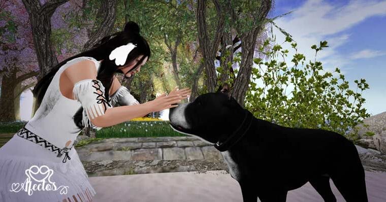 El perro del conquistador