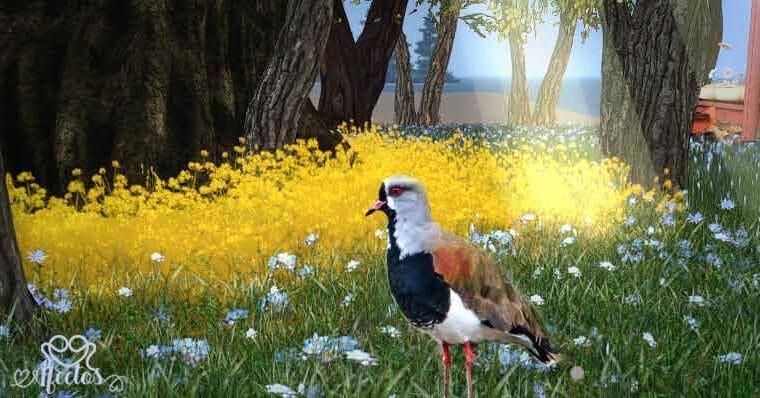 El terito, de Mamerto Menapace