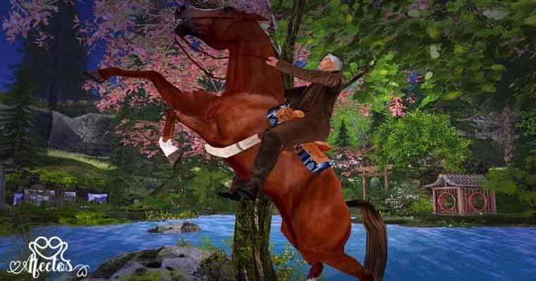 La doma del corazón de Mamerto Menapace